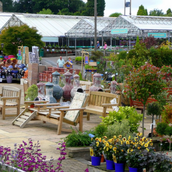 Outdoor garden center with flowers, trees, seats and greenhouses